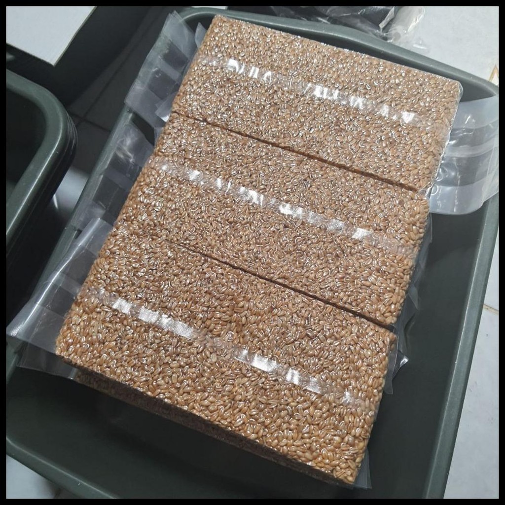 GOODSEED - BIJI GANDUM (BENIH WHEATGRASS) SUPERFOOD RUMPUT KUCING 1 KG