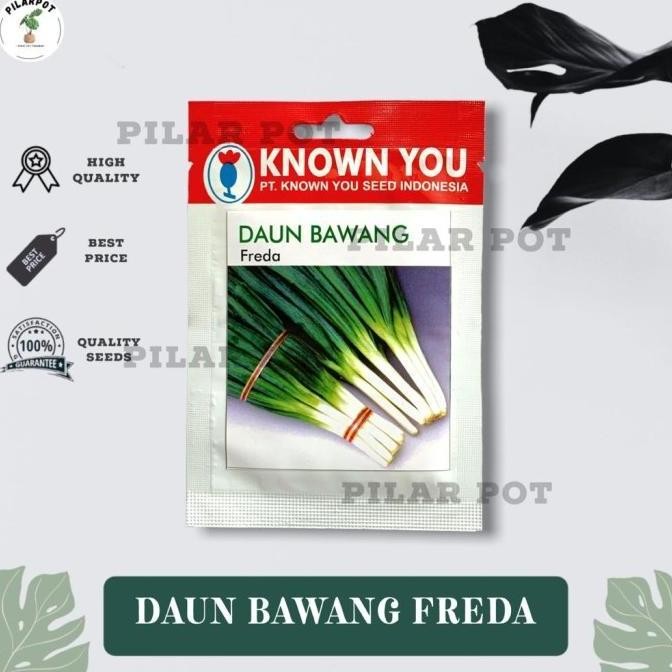 

Terlaris Benih Bibit Daun Bawang Freda Known You Seed - Kys Freda Kemasan Merah