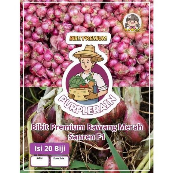 

Terlaris Bibit Premium Bawang Merah Sanren F1 | Benih Bawang Merah Sanren F1