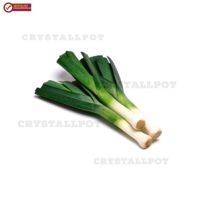 

Terlaris Benih Bibit Daun Bawang Freda Known You Seed - Kys Freda Kemasan Merah