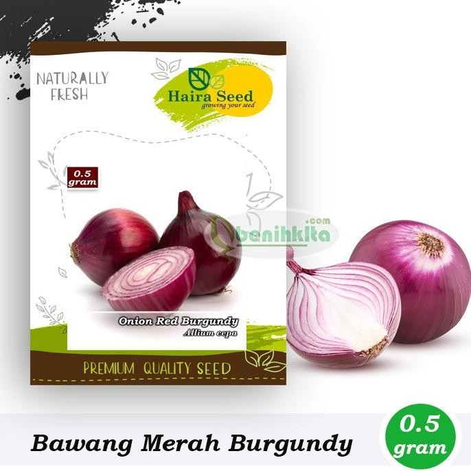 

Terlaris Original Benih-Bibit Bawang Merah Red Burgundy (Haira Seed)