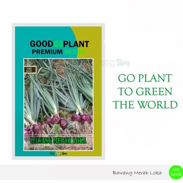 

Terlaris 100 Biji - Benih Bibit Bawang Merah Loka F1 Unggul - Okegreenshop