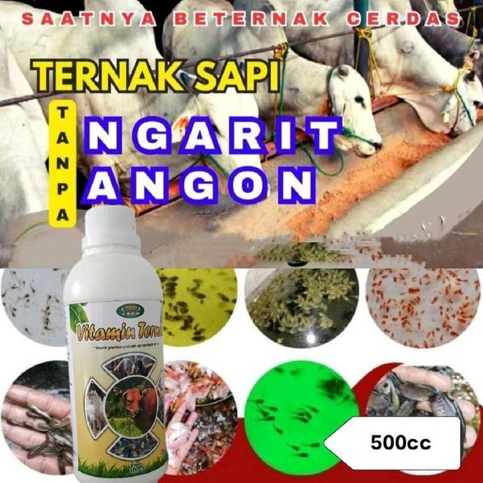 

Terlaris Top Grow Vitamin Ternak 500Ml - Vitamin Premium Probiotik Dan Antibiotik Ternak (Vitamin Sapi, Ayam, Kambing, Ikan, Babi, Dll