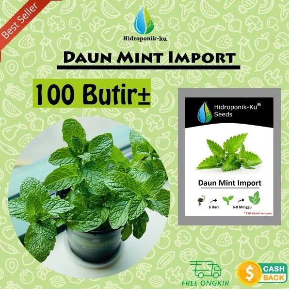 

Terlaris Bibit/ Benih Daun Mint Pepermin (100 Biji) Hidroponik Ku