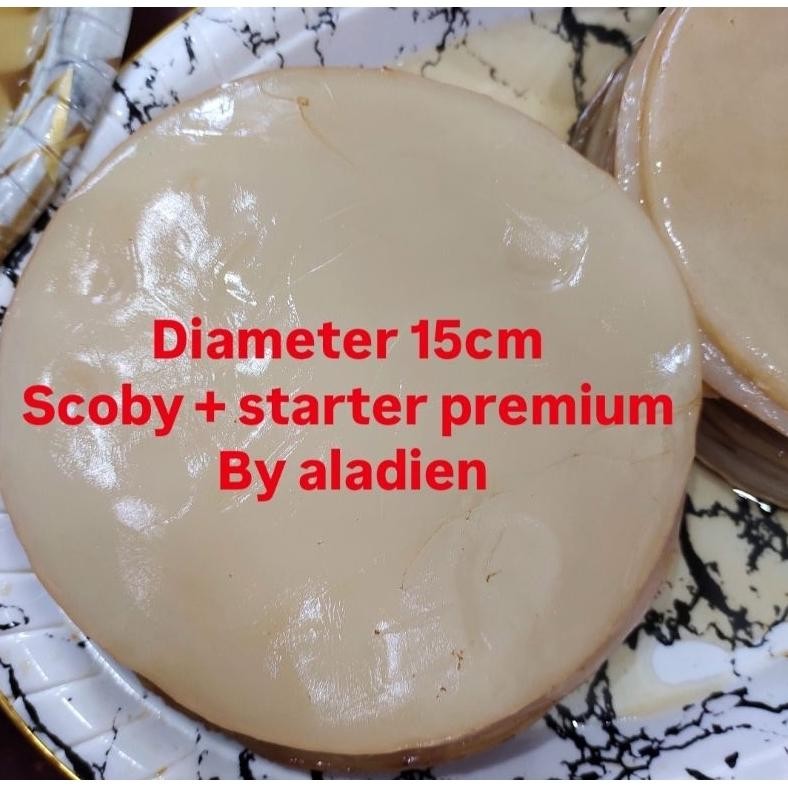 

Scoby Sehat / Kombucha / Starter Premium by Aladien nUg