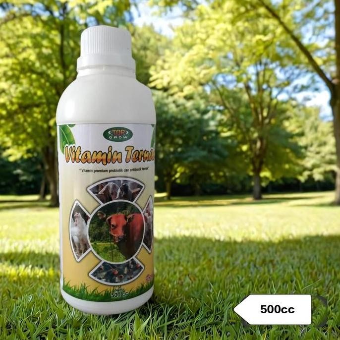 

Terlaris Top Grow Vitamin Ternak 500Ml - Vitamin Premium Probiotik Dan Antibiotik Ternak (Vitamin Sapi, Ayam, Kambing, Ikan, Babi, Dan Hewan Ternak Lainnya)