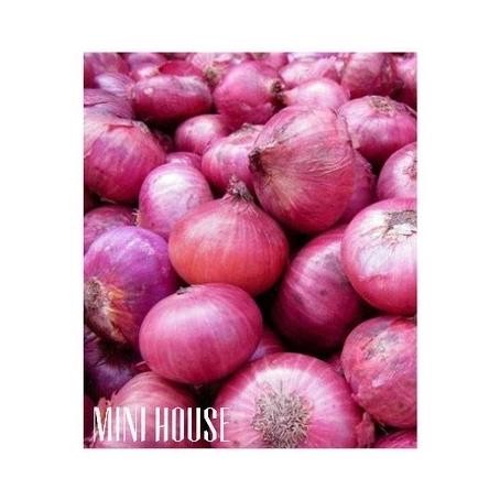 

Terlaris Sale Biji Bibit Benih Bawang Merah