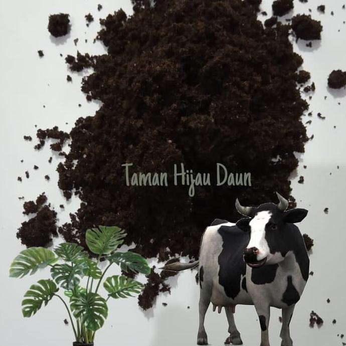 

Terlaris Pupuk Kandang Kemasan 1Kg Tidak Berbau Kotoran Sapi