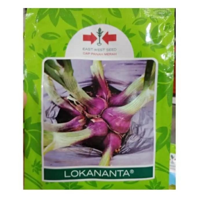 

Terlaris Benih Bawang Merah Lokananta 10G Bibit Bawang Merah Cap Panah Merah