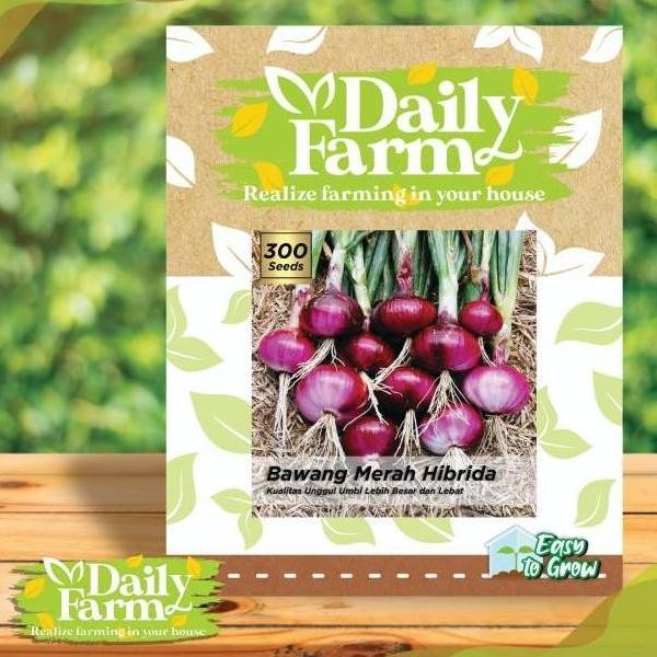 

Terlaris Terlaris!! Daily Farm - Benih Bibit Bawang Merah Hibrida Best Seller!!