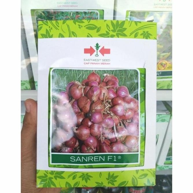 

Terlaris Benih Bawang Merah Sanren F1 (10 Gram) - Bibit Cap Panah Merah 10 Gr