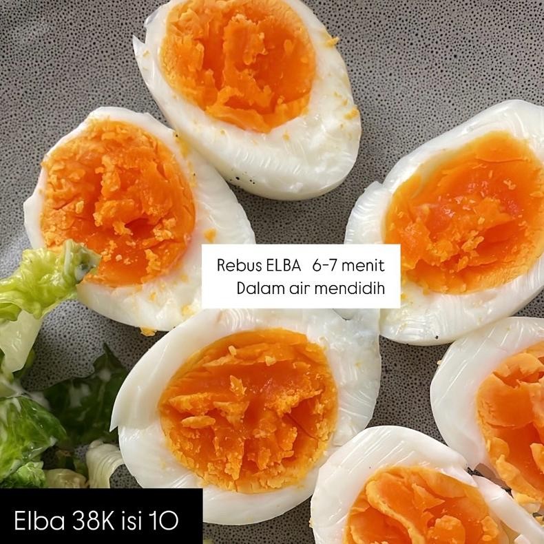 

(READY) ELBA Telur Ayam Kampung KIRIM KHUSUS KEDIRI DG PENGIRIMAN INSTAN nUg