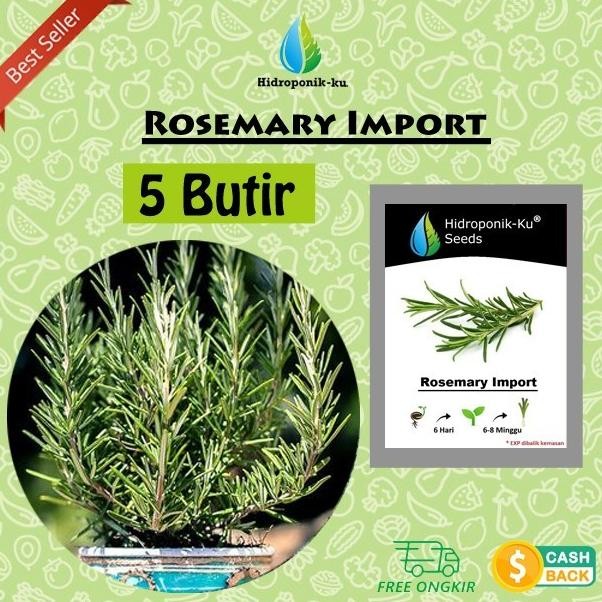 

Terlaris Bibit / Benih Rosemary Import (10 Butir) - Hidroponik Ku