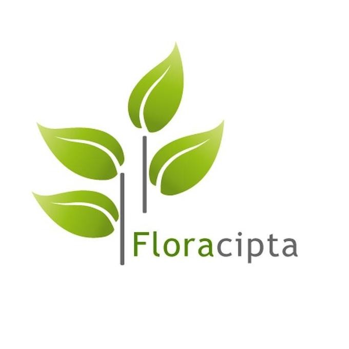 

Terlaris Id | Bibit Tanaman Peppermint / Daun Mint Murah
