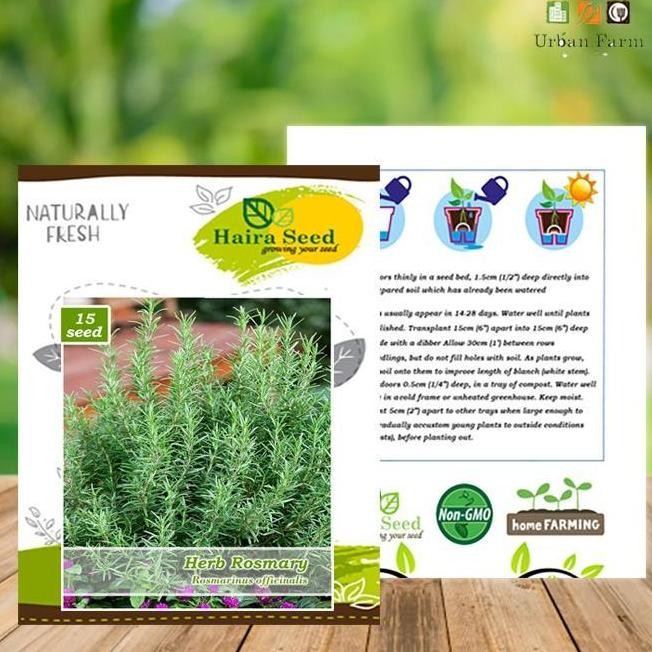 

Terlaris Tmy- Benih-Bibit Herba Rosemary (Haira Seed)