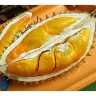 

Terlaris 3 Bibit Durian Simas Super Unggul