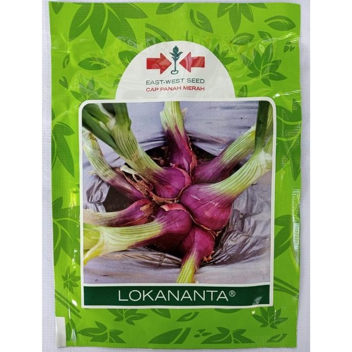 

Terlaris Ready Fresh Benih Bawang Merah Lokananta 10 Gram - Bibit Unggul Cap Panah Merah