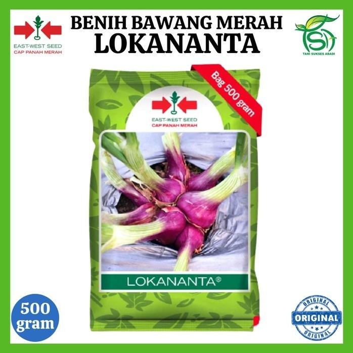 

Terlaris Benih Bawang Merah Lokananta 500 Gram - Bibit Cap Panah Merah 500 Gr