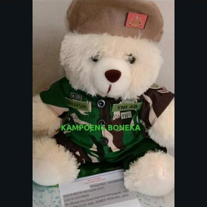 Boneka Wisuda Tazmania XL