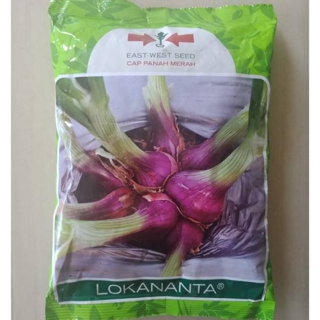 

Terlaris 500 Gr Benih Bawang Merah Lokananta Bibit Tss Biji Brambang Cap Panah