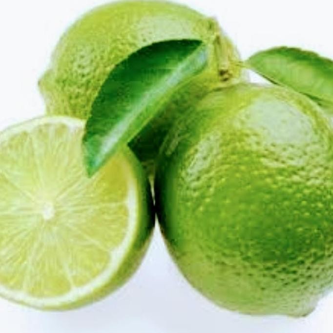 

Terlaris Bibit Jeruk Nipis Jumbo Berbuah/Berbunga