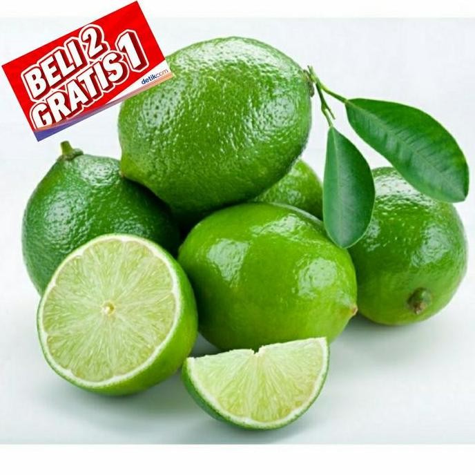 

Terlaris Bibit Jeruk Nipis Berbuah