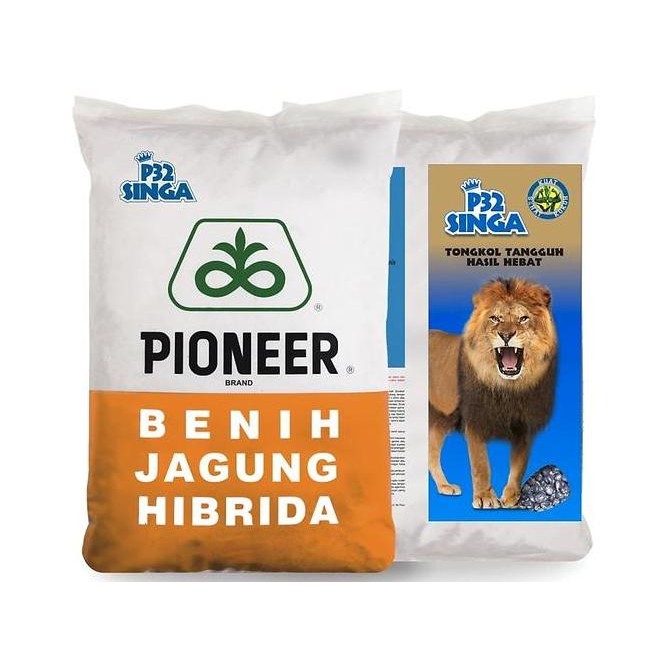 || BANANA / Benih Jagung Hibrida P32 Singa (5KG) - PIONEER ||~~~
