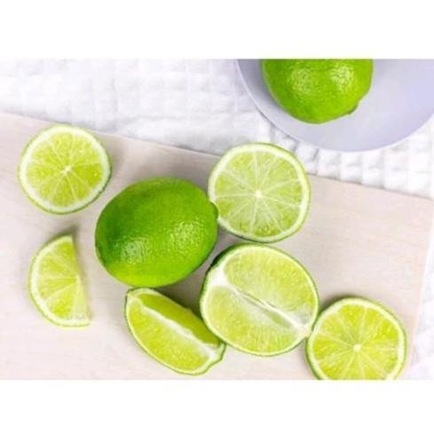 

Terlaris Bibit Jeruk Nipis Berbuah / Berbunga