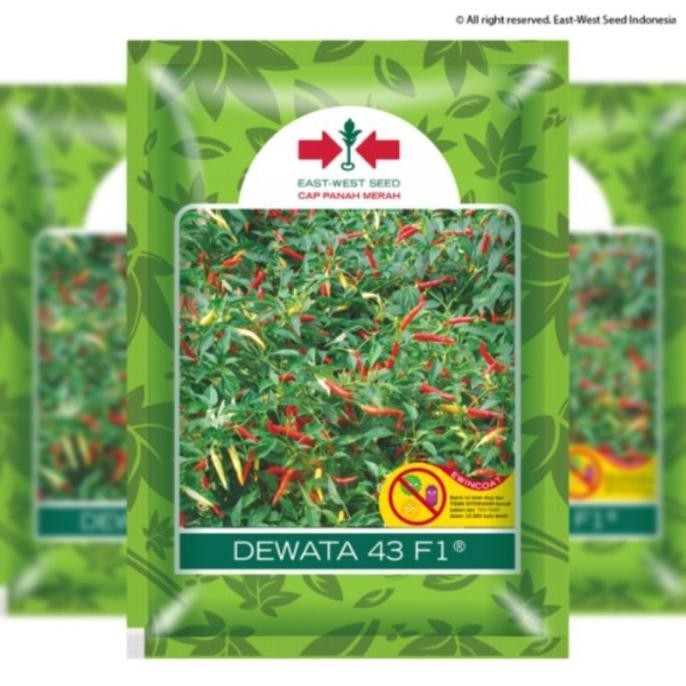 || BANANA / benih cabe dewata 43 f1 2250 butir @cap panah merah zivbus 6057ga ||~~~