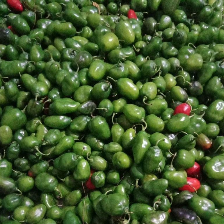 

Terlaris Cabe Gendot 1Kg, Cabe Lombok, Cabe Gendol
