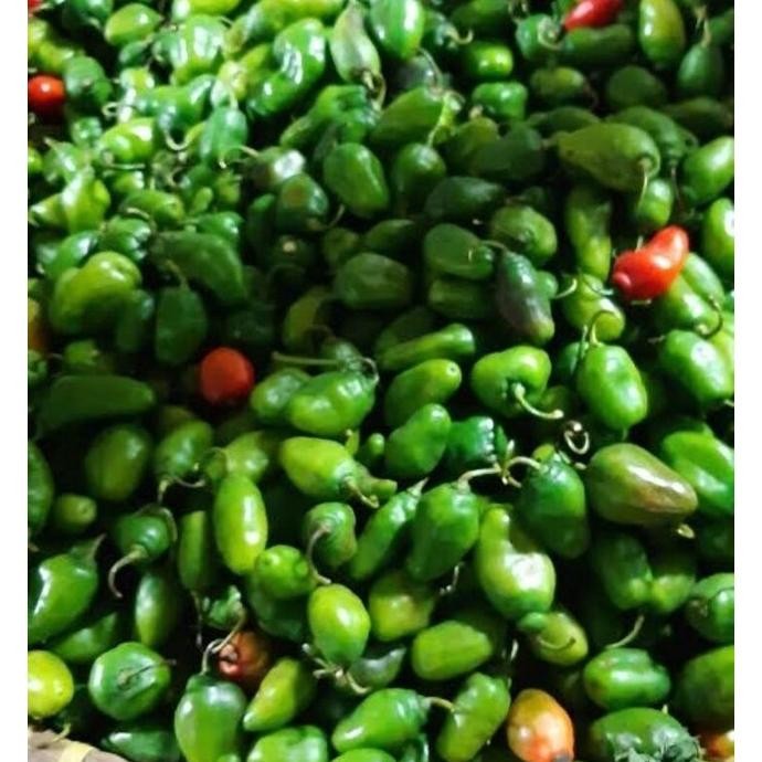 

Efisien Cabe Gendot Bandung Segar Dan Super Pedas 1000Gr