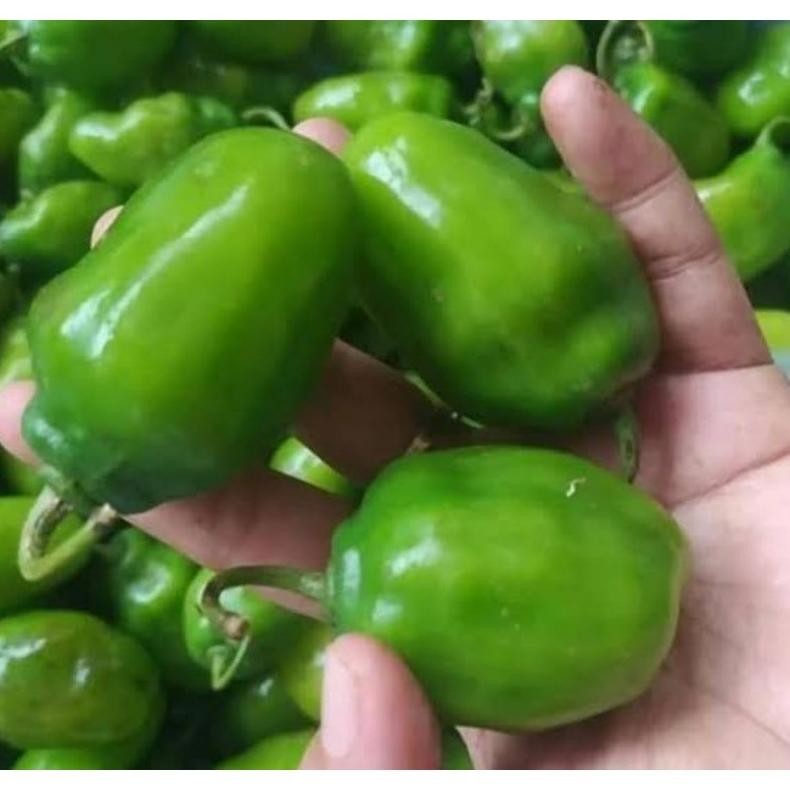 

Perhatian Cabe Gendot 1 Kg (Fresh Promo)