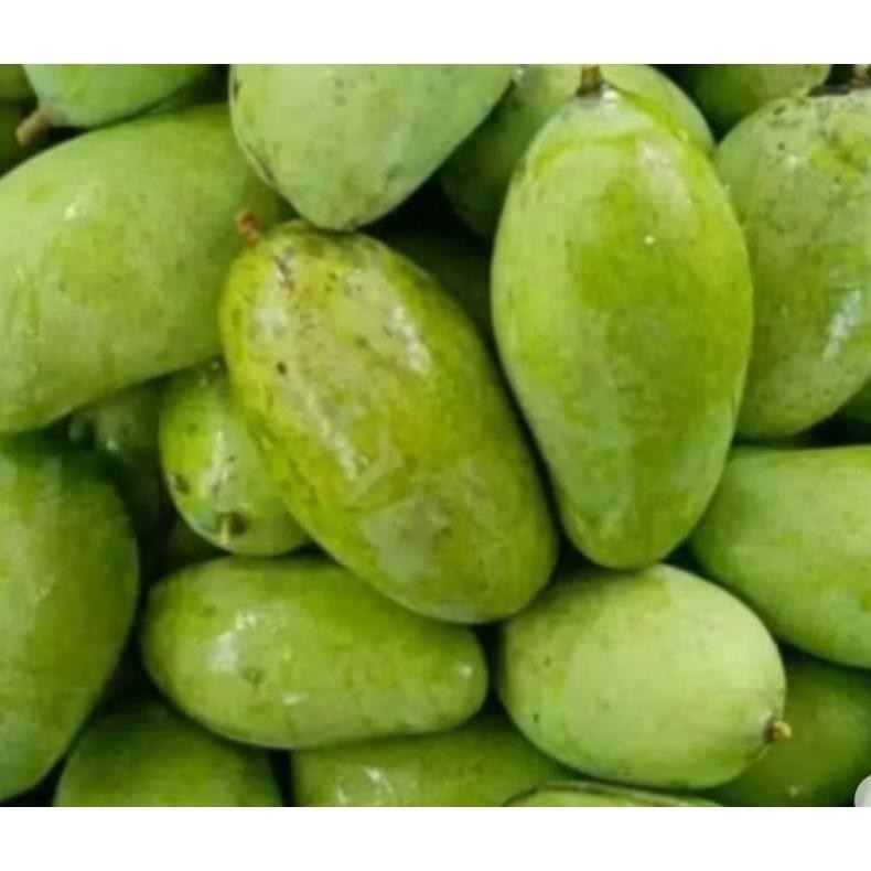 

Garansi Mangga Muda 1 Kg