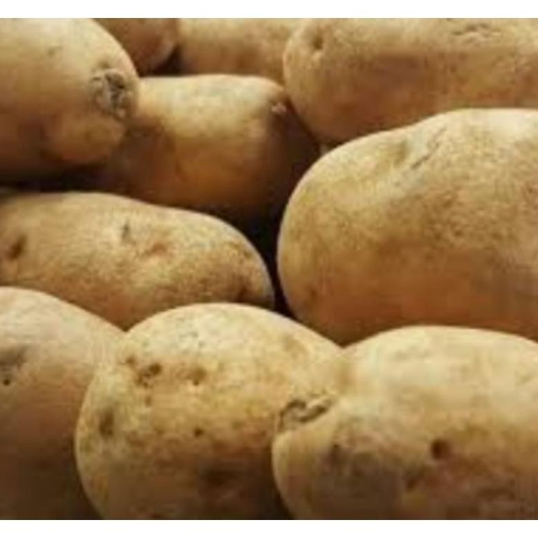 

Harga Terjangkau Kentang Kuning Besar