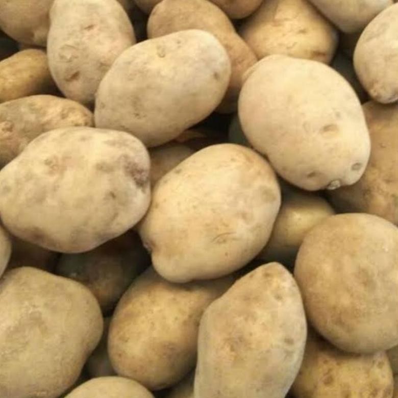 

Harga Terjangkau Kentang Dieng 1Kg Kualitas Terbaik Khas Wonosobo