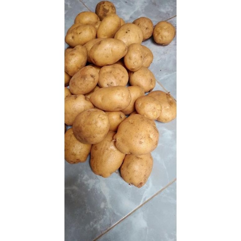 

Premium Kentang Sedang 1 Kg