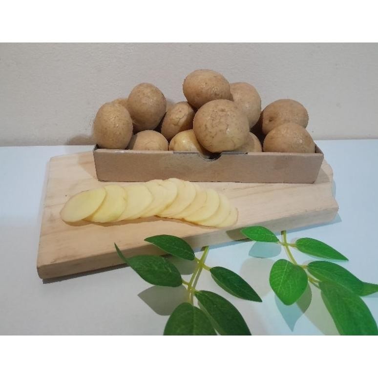 

Cod Kentang Super Segar [ Ukuran Kecil ] 1 Kg