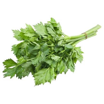 

Fitur Lengkap Daun Seledri Segar | Sayur N Co Bekasi
