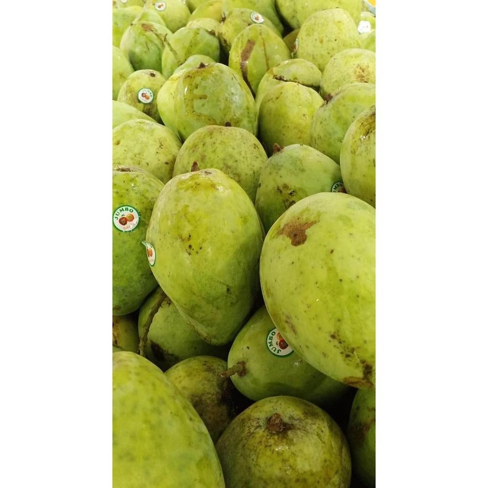 

Mudah Digunakan Duta Buah Mangga Indramayu (900G-1Kg)