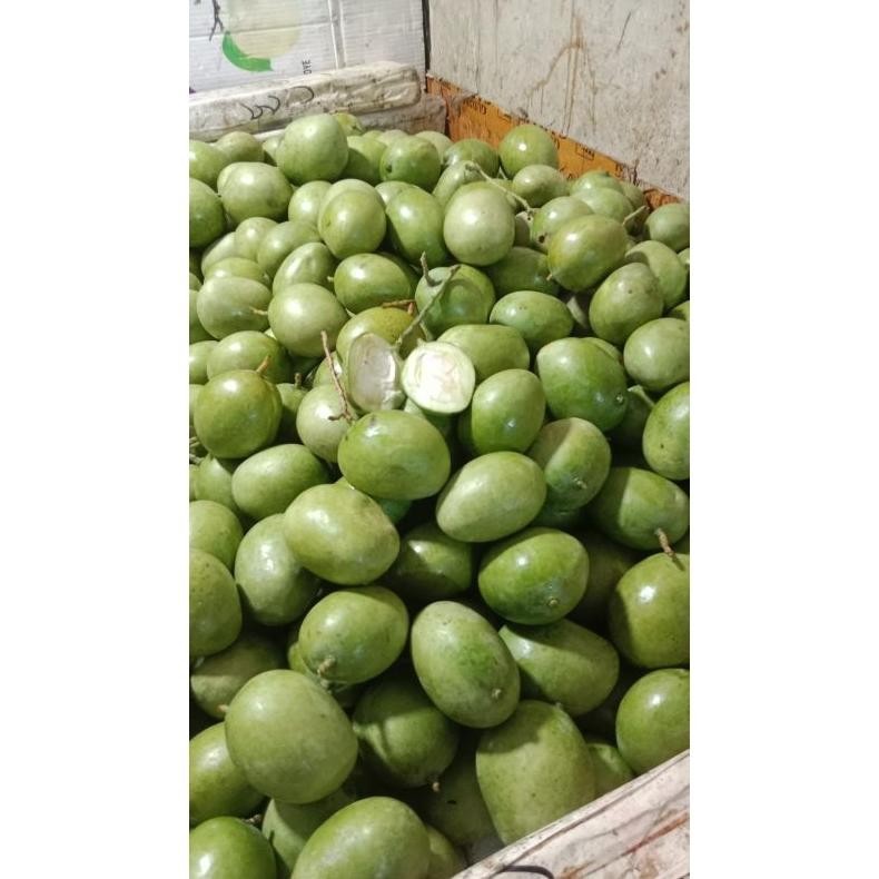 

New Mangga Telur /Mangga Donat /Mangga Viral/Mangga Rujak 1 Kg