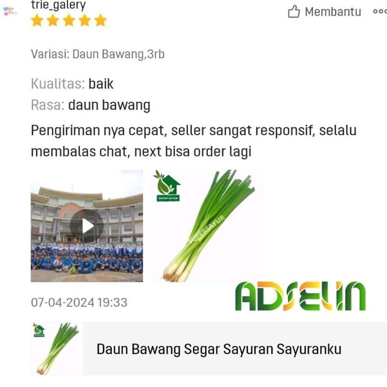 

Fitur Lengkap Daun Bawang Segar Super Sayur Adselin