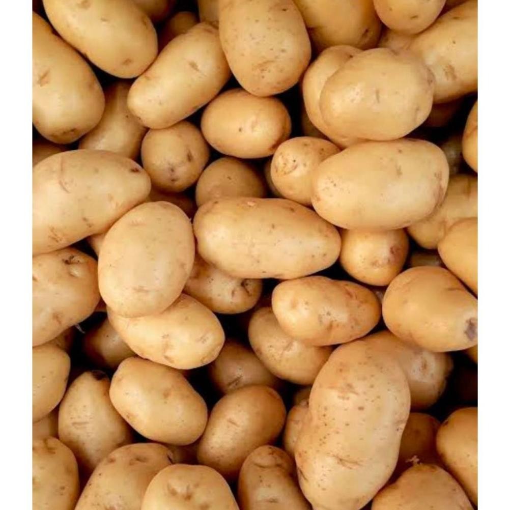 

Trending Kentang Biasa Murah 500Gr