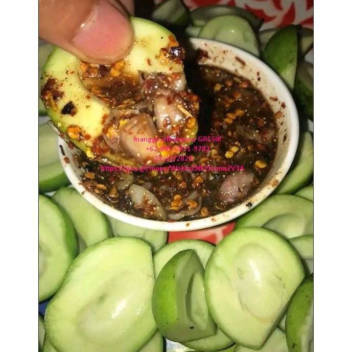 

Bisa Disesuaikan Mangga Rujak Muda 1Kg Cocok Buat Ibu Yg Lgi Ngidam