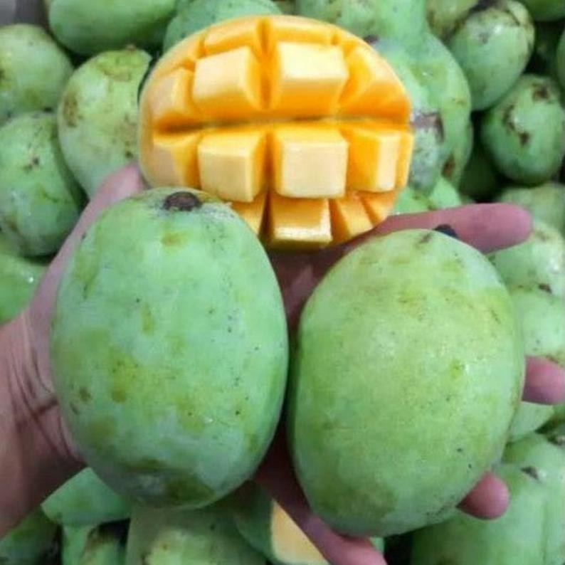 

Efisien Mangga Indramayu / Harum Manis / Manalagi 1Kg