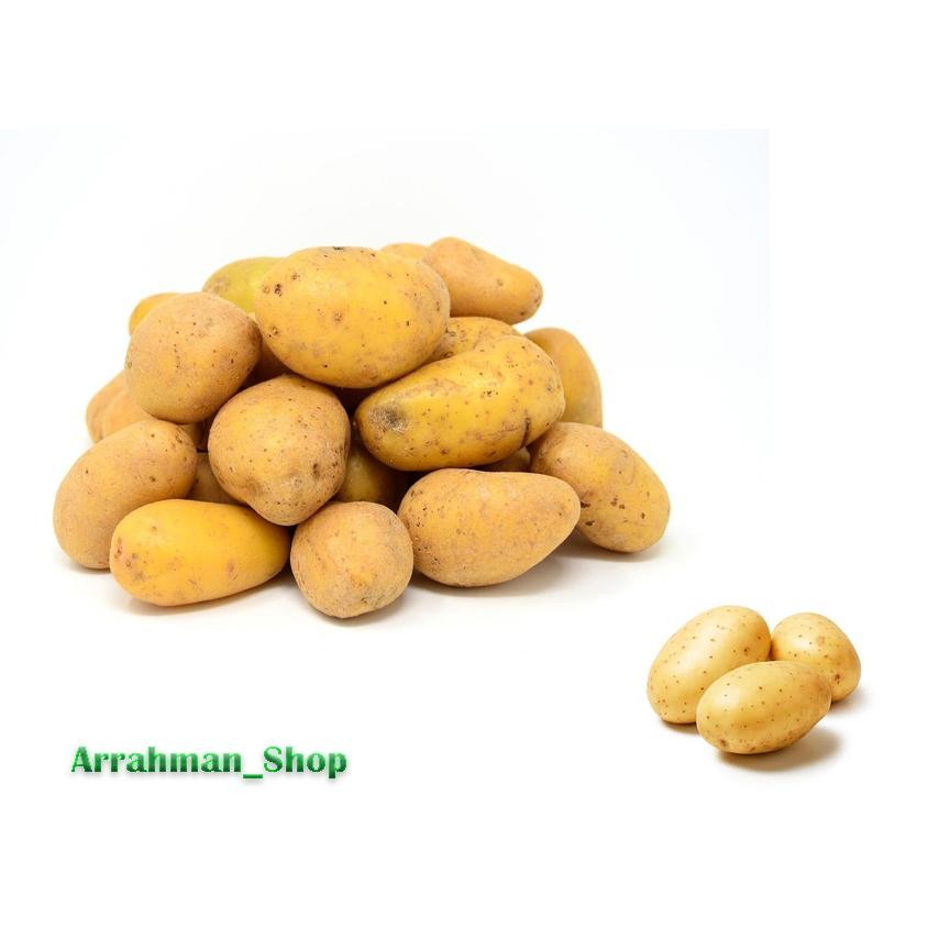 

Rekomendasi Kentang - Kentang Dieng - Kentang Super Segar Fresh