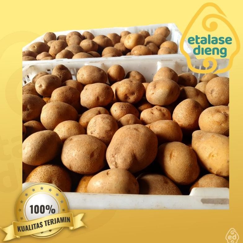 

Inspiratif Kentang / Kentang Dieng / Kentang Fresh / 1 Kg / Uk Sedang / Kentang Premium