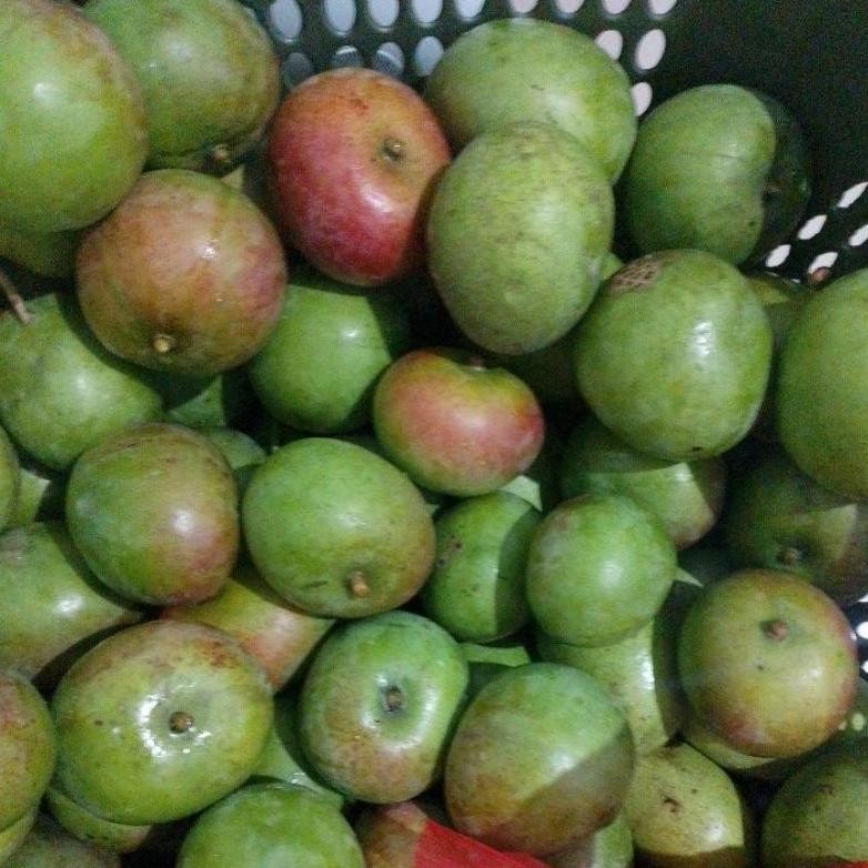 

Efektif Mangga Muda Apel Fresh