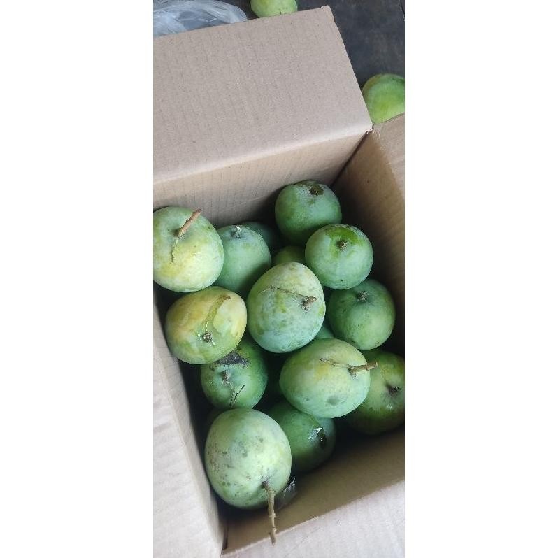 

Fungsi Mangga To Termanis Murah Per 1Kg Dkirim Mentah