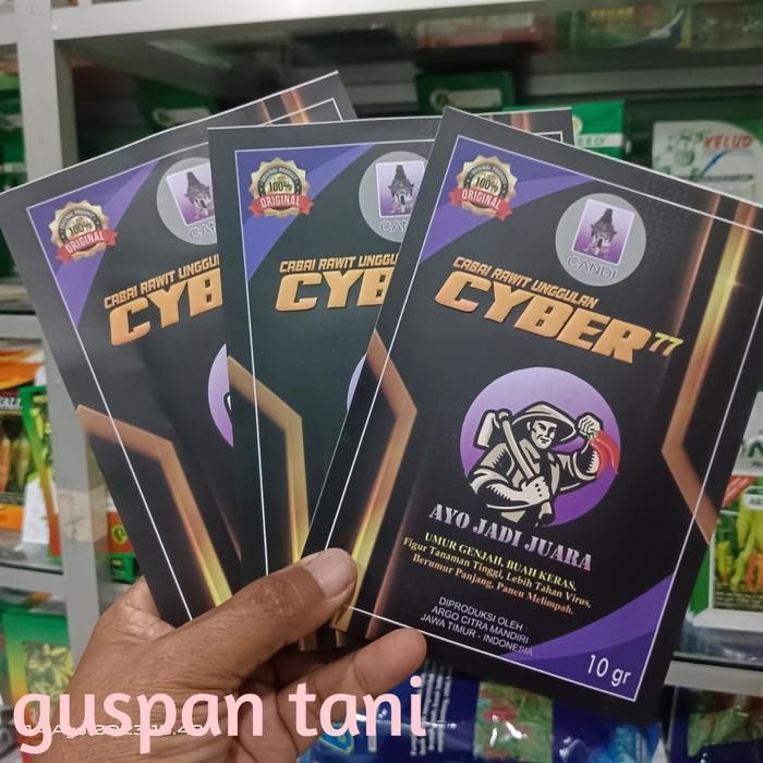 CYBER77 benih cabai cyber77 kemasan 10gr Promo