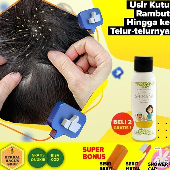TERBARU - Obat Kutu Rambut Alami Anak dan Dewasa, Shampoo Kutu Rambut Alami BPOM